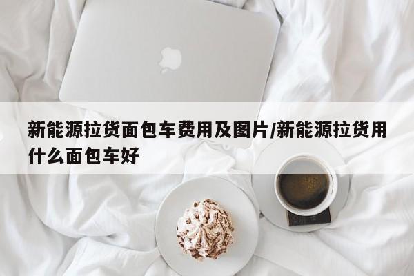 新能源拉货面包车费用及图片/新能源拉货用什么面包车好