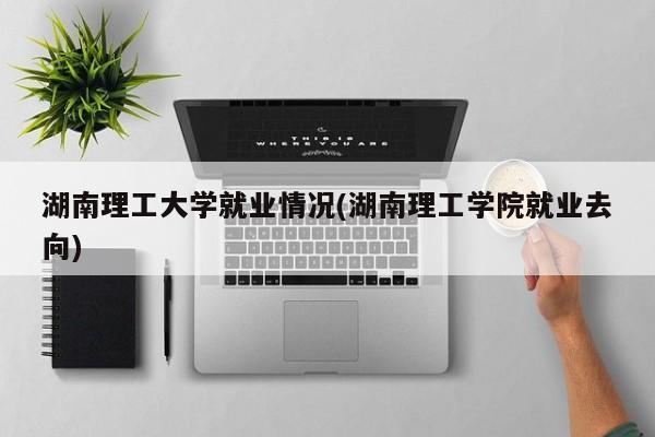 湖南理工大学就业情况(湖南理工学院就业去向)