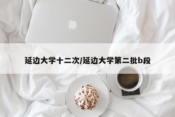 延边大学十二次/延边大学第二批b段