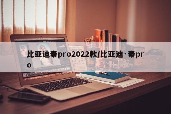 比亚迪秦pro2022款/比亚迪·秦pro